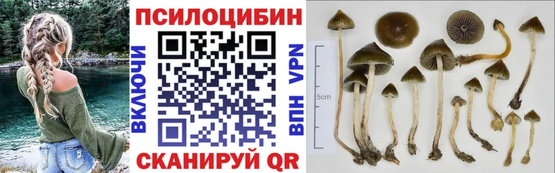 Галлюциногенные грибы Magic Shrooms  наркотики  Зерноград 