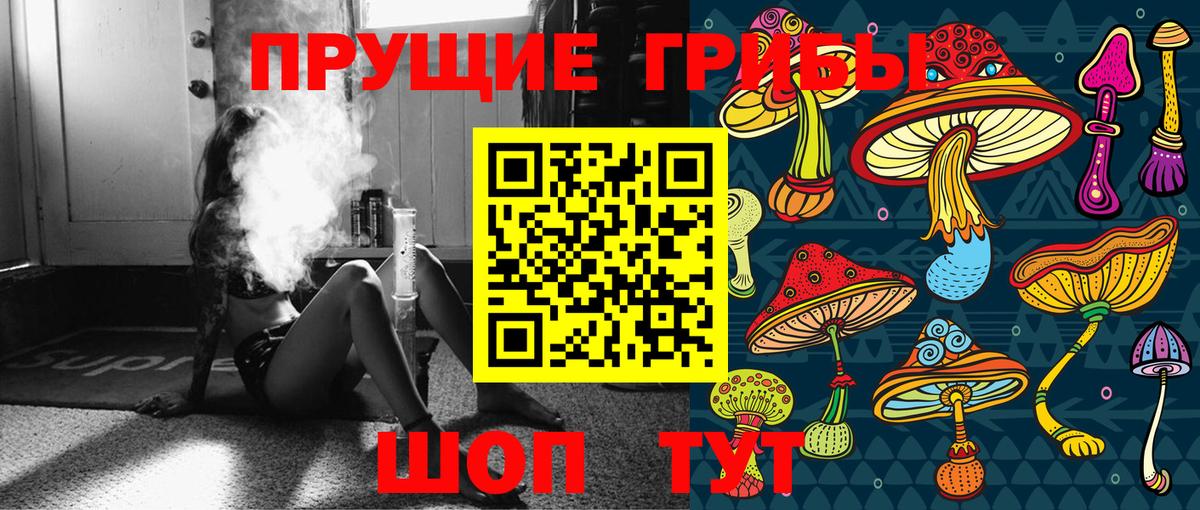 Галлюциногенные грибы прущие грибы Зерноград