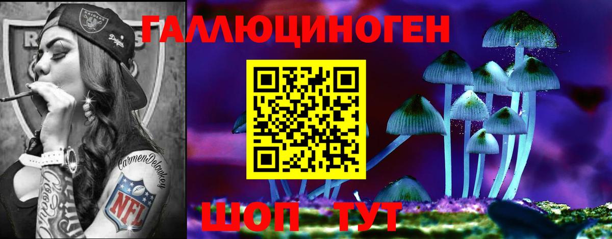 Псилоцибиновые грибы Magic Shrooms  Галлюциногенные грибы GOLDEN TEACHER  Зерноград  купить наркотик  Вход с VPN 