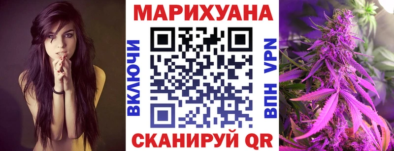 где продают наркотики  Зерноград  Шишки марихуана план 